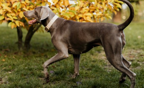 Arizona - zdjęcie 4